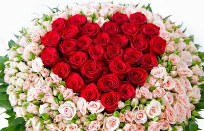 Букет из красных роз купить в Москве.