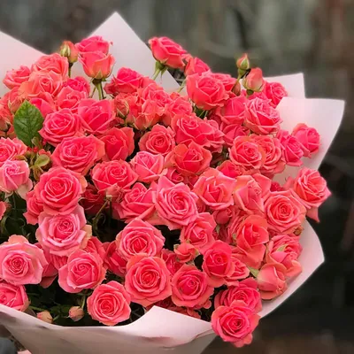 Заказать красивый букет роз FL-11 купить - хорошая цена на красивый букет  роз с доставкой - FLORAN.com.ua