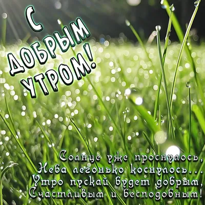 Доброго утра и хорошего дня картинки природы (44 фото) » Красивые картинки,  поздравления и пожелания - Lubok.club