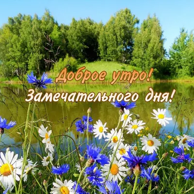 Доброе утро - это когда так / Природа (красивые фото природы: моря, озера,  леса) :: рассвет / смешные картинки и другие приколы: комиксы, гиф  анимация, видео, лучший интеллектуальный юмор.