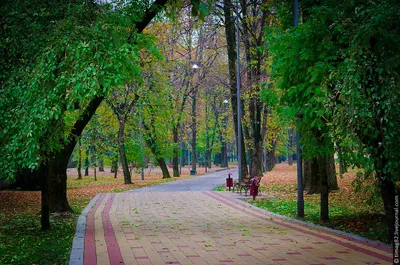 Панорама, ресторан, Кабардино-Балкарская Республика, Нальчик, Атажукинский  парк — Яндекс Карты