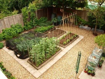 Красивый огород своими руками: стильные грядки — это просто | Дизайн  овощного огорода, Сад из деревянных паллет, Высокие сады
