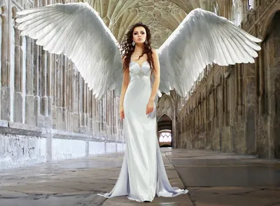 Крылья ангела обои - 57 фото