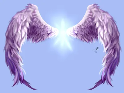 Крылья ангела - красивые картинки (100 фото)