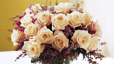 Красивые розы, для красивых девушек. | DIANA DuSHA | Дзен