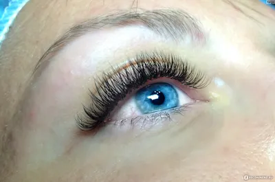 Ideal Lashes / Я лэшмейкер | Los Angeles CA