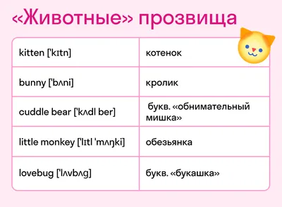 Поздравления с Днем рождения парню в стихах и прозе - Новости на KP.UA