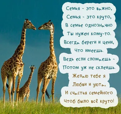 Красивые люди семьи из трех человек, папа мамы и дочь Стоковое Изображение  - изображение насчитывающей люди, браслетов: 70296313