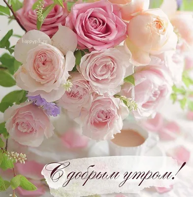 Картинки - пожелания с цветами \"Доброе утро\" (34 фото) ⭐ Наслаждайтесь  юмором! | Красивые цветы, Доброе утро, Цветы