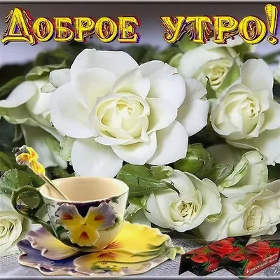 Красивая открытка с добрым утром с цветами и пожеланием