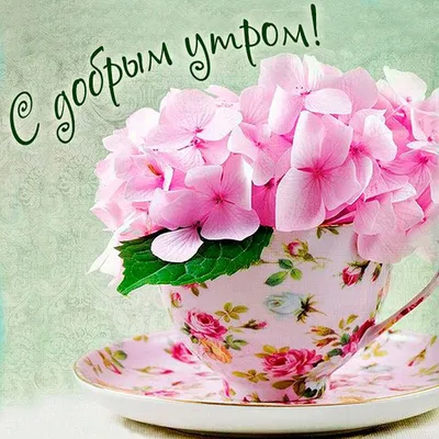 С добрым утром картинки с цветами для женщины (47 фото) » Красивые  картинки, поздравления и пожелания - Lubok.club