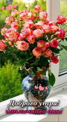 Пин от пользователя Светлана на доске Доброе утро | Красивые цветы, Розы,  Цветы