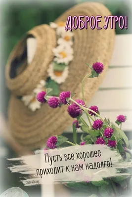Картинки доброго утра и хорошего дня с цветами (45 фото) » Красивые  картинки, поздравления и пожелания - Lubok.club