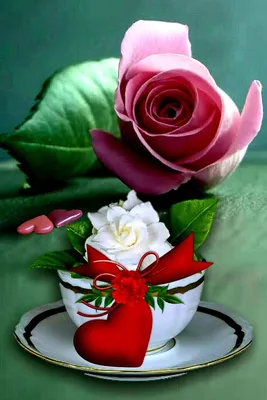 Розы! Картинки с добрым утром и хорошего настроения, картинки доброе утро  хорошего настроения и дня! | Желтая роза, Цветок, Красивые цветы
