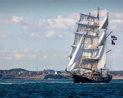 Фонд AdVita: «Полтава – самый яркий и красивый корабль!»