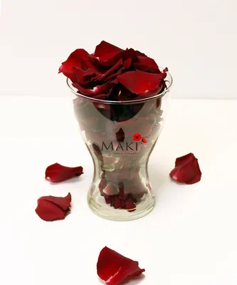 Красивые красные лепестки роз, изолированные на белом стоковое фото  ©belchonock 43598623