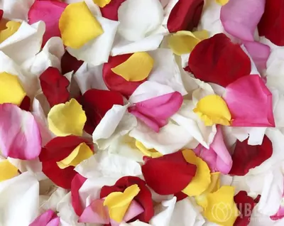 DIY-косметика из лепестков роз: 8 идей и рецептов - YouTube