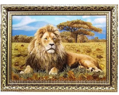 Красивый лев в мечте стоковое фото. изображение насчитывающей мрачно -  89732502