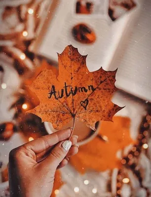 Картинки осень красивые | картинки осень красивые