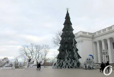 Красивые Молодые Категории Главная Кун — стоковые фотографии и другие  картинки Большой - Большой, Вертикальный, Волосы животного - iStock