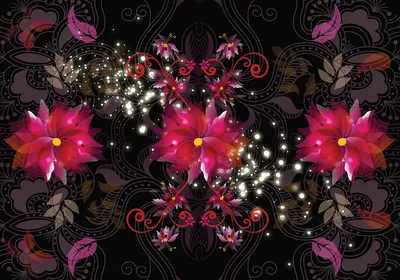 Красивые цветы на темном фоне (88 фото) » ФОНОВАЯ ГАЛЕРЕЯ КАТЕРИНЫ АСКВИТ