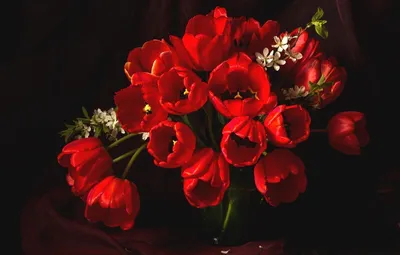 цветок в форме сердца на темном фоне, красивые картинки с сердечками фон  картинки и Фото для бесплатной загрузки