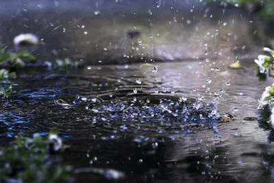 Красивый летний проливной дождь капли дождя падают в воду плещется вода Фон  И картинка для бесплатной загрузки - Pngtree