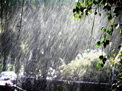 Музыка дождя. Красивая песня | Бой-Баба | Дзен