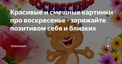 😃 Красивые и короткие цитаты про дружбу со смыслом