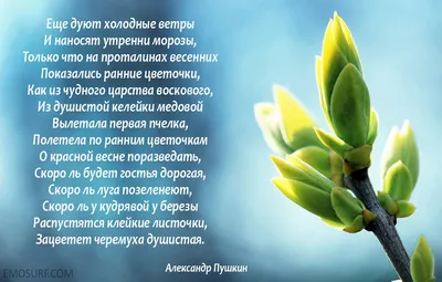 https://lite.telegraf.com.ua/lite/2023-12-31/5825330-krasivye-sms-pozhelaniya-na-novyy-god-2024-dushevnye-stikhi-i-yarkie-otkrytki