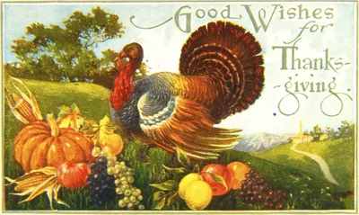 День благодарения - поздравления и как празднуют Thanksgiving Day 2021