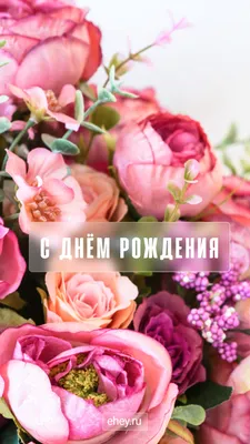 Элегантные, стильные открытки с днем рождения женщине - Новости Чернигова