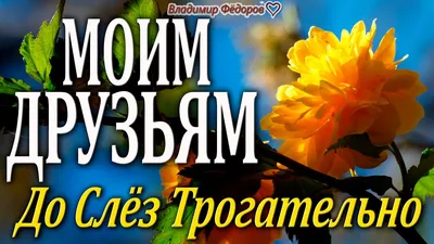 Красивые пожелания с добрым утром: стихи, проза, открытки - МЕТА