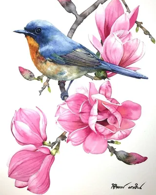 Красивые картинки птицы и цветы - 61 фото