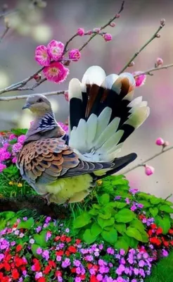 Простые красивые цветы и птицы телефон современные обои ai generated photo  | Премиум Фото