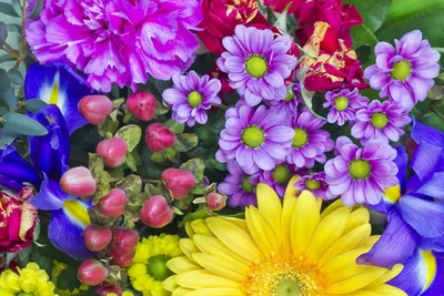красивые весенние цветы на фоне бумаги Стоковое Фото - изображение  насчитывающей зеленый, пурпурный: 216942398
