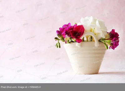 Красивые весенние цветы в вазе на фоне окна стоковое фото ©belchonock  89530928