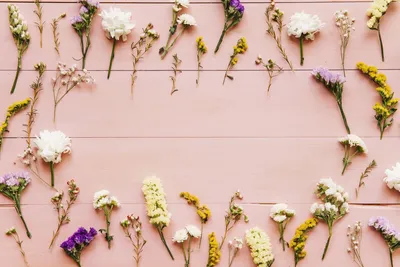 Красивые весенние цветы на светло-розовом фоне :: Стоковая фотография ::  Pixel-Shot Studio
