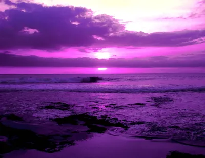Красивые картинки в фиолетовом цвете фотографии