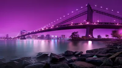 Фиолетовый цвет - красивые картинки (100 фото) • Прикольные картинки и  позитив