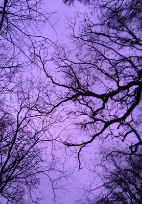 Картинки эстетика фиолетового цвета - 75 фото