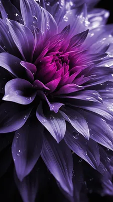 Эстетичные обои фиолетового цвета - фото и картинки: 68 штук