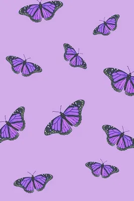 Фиолетовый цвет - красивые картинки (100 фото) • Прикольные картинки и  позитив