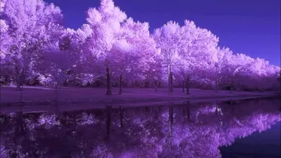 Красивый фон фиолетового цвета - 84 фото