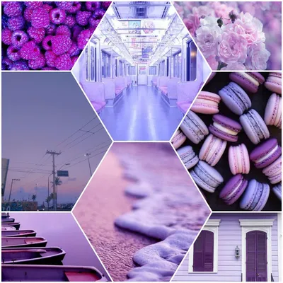 Фиолетовый цвет - красивые картинки (60 фото)