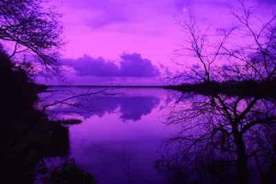 👾Самый красивый Фиолетовый инвентарь в CS:GO👾 | CS CLUB | Дзен