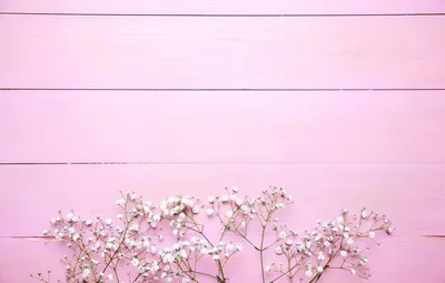 Розовый цвет - красивые картинки (100 фото)