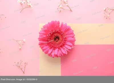 Красивые розовые картинки - 70 фото