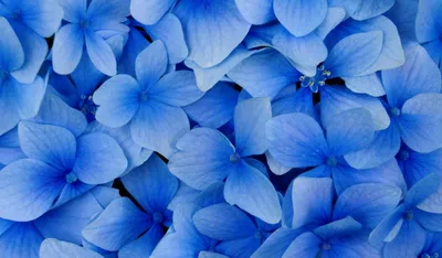 Как Вам Гелик в синем цвете???... - Красивые номера ЯРОСЛАВЛЬ | Facebook