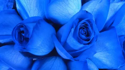 Изумительные натюрморты в синем цвете
